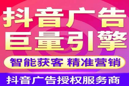 成功企业SEM竞价代运营案例研究